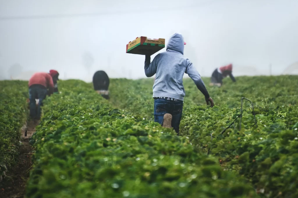 reformas-laborales-colombia